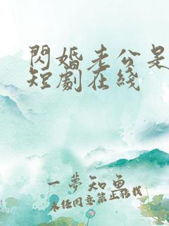 闪婚老公是总裁短剧在线