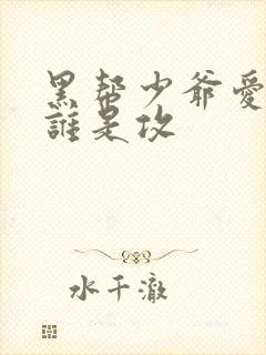 黑帮少爷爱上我谁是攻