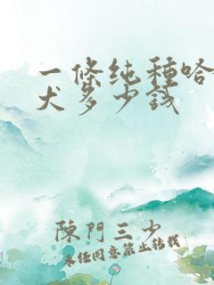 一条纯种哈士奇犬多少钱