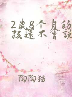 2岁8个月的小孩还不会说话