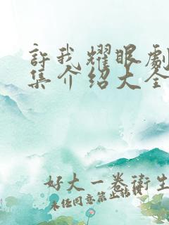 许我耀眼剧情分集介绍大全