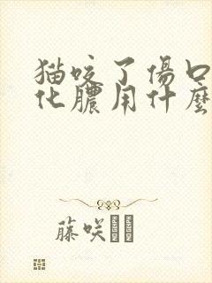 猫咬了伤口感染化脓用什么药