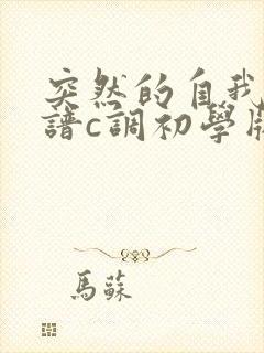 突然的自我吉他谱c调初学版