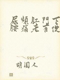 尿频肛门下坠感腰痛老有便意