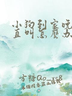 小狗到家晚上一直叫怎么办