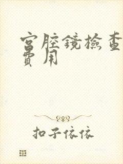 宫腔镜检查多少费用