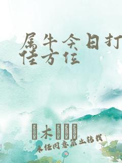 属牛今日打牌最佳方位