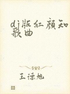 dj版红颜知己歌曲