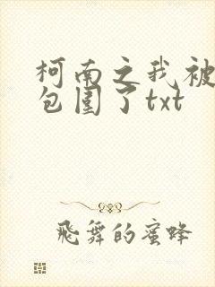 柯南之我被卧底包围了txt