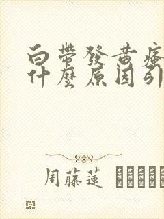 白带发黄瘙痒是什么原因引起的