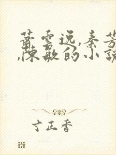 萧云逸,秦芳雅,陈敏的小说