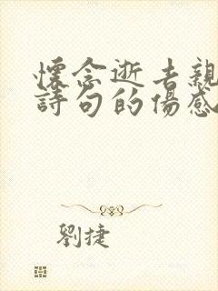 怀念逝去亲人的诗句的伤感句子