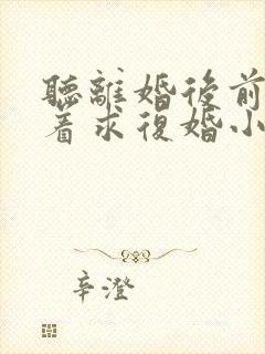 听离婚后前夫哭着求复婚小说