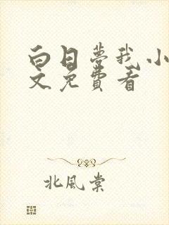 白日梦我小说全文免费看