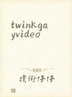 twinkgayvideo