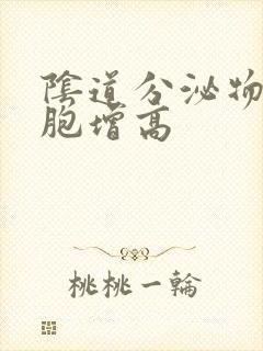 阴道分泌物白细胞增高