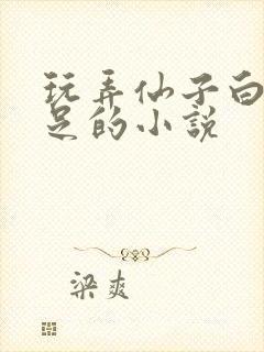 玩弄仙子白袜玉足的小说