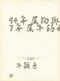 94年属狗与97年属牛的婚姻如何