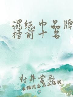 湿纸巾品牌排行榜前十名