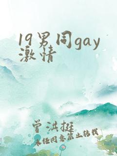 19男同gay激情