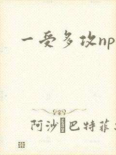 一受多攻nph