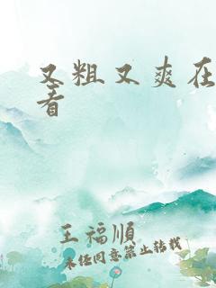 又粗又爽在线观看