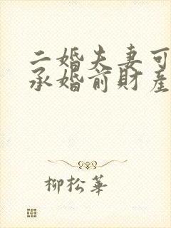 二婚夫妻可以继承婚前财产吗