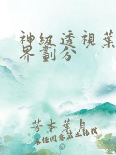 神级透视叶寒境界划分