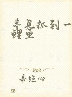 梦见抓到一条大鲤鱼