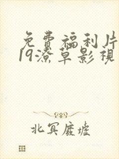 免费福利片2019潦草影视午夜