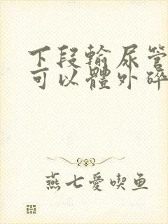 下段输尿管结石可以体外碎石吗