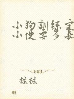 小狗训练定点大小便要多长时间