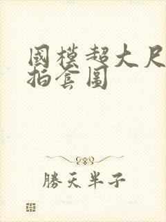 国模超大尺度私拍套图