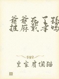 爷爷死了孙子要披麻戴孝吗