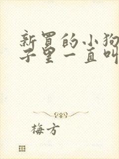 新买的小狗关笼子里一直叫怎么办