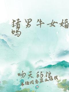 猪男牛女婚配好吗