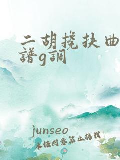 二胡搀扶曲谱简谱g调