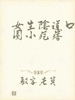 女生阴道口有一圈小疙瘩