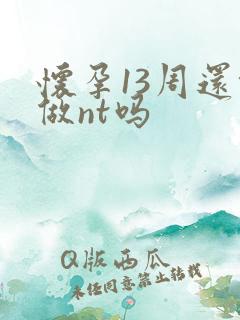 怀孕13周还能做nt吗