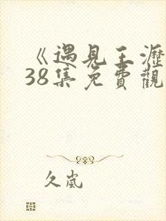 《遇见王沥川》38集免费观看