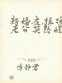 新婚夜,植物人老公突然醒了