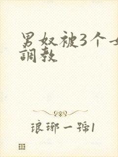 男奴被3个女王调教