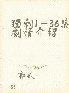 独刺1—36集剧情介绍