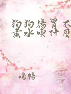 狗狗肠胃不好吐黄水吃什么药