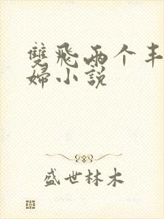 双飞两个丰满少妇小说