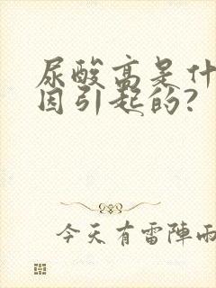 尿酸高是什么原因引起的?