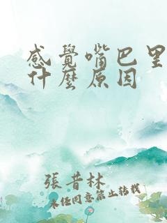 感觉嘴巴里苦是什么原因