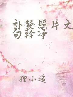 补发照片文案短句干净