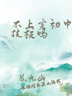 不上完初中能上技校吗