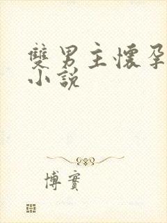 双男主怀孕生崽小说